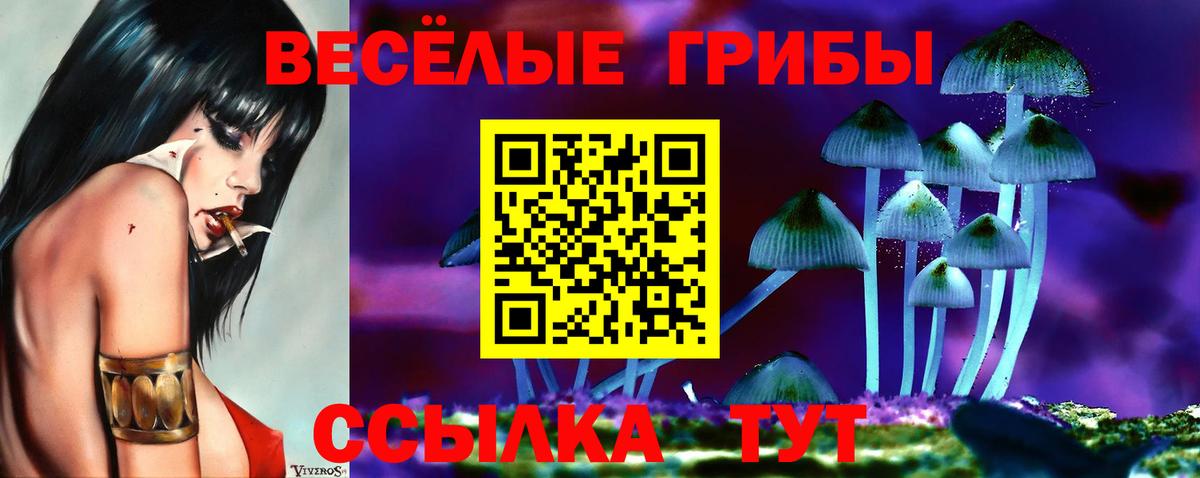 Галлюциногенные грибы мицелий Чебаркуль