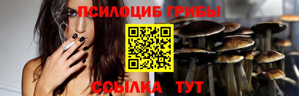 где можно купить наркотик  Псилоцибиновые грибы мицелий  Вход с VPN  Чебаркуль  Галлюциногенные грибы Cubensis 
